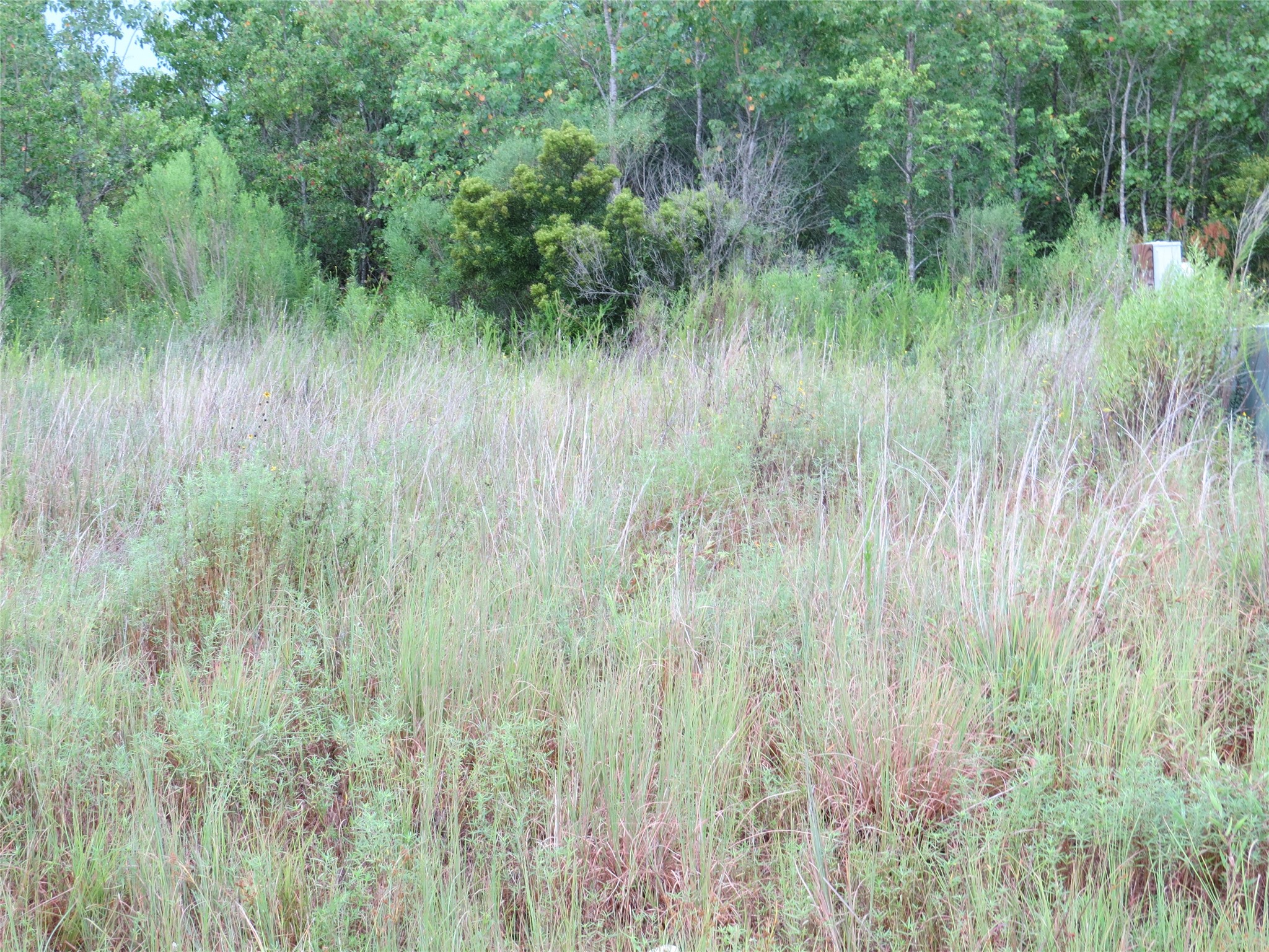 545 Road 5704 Property Photo 5