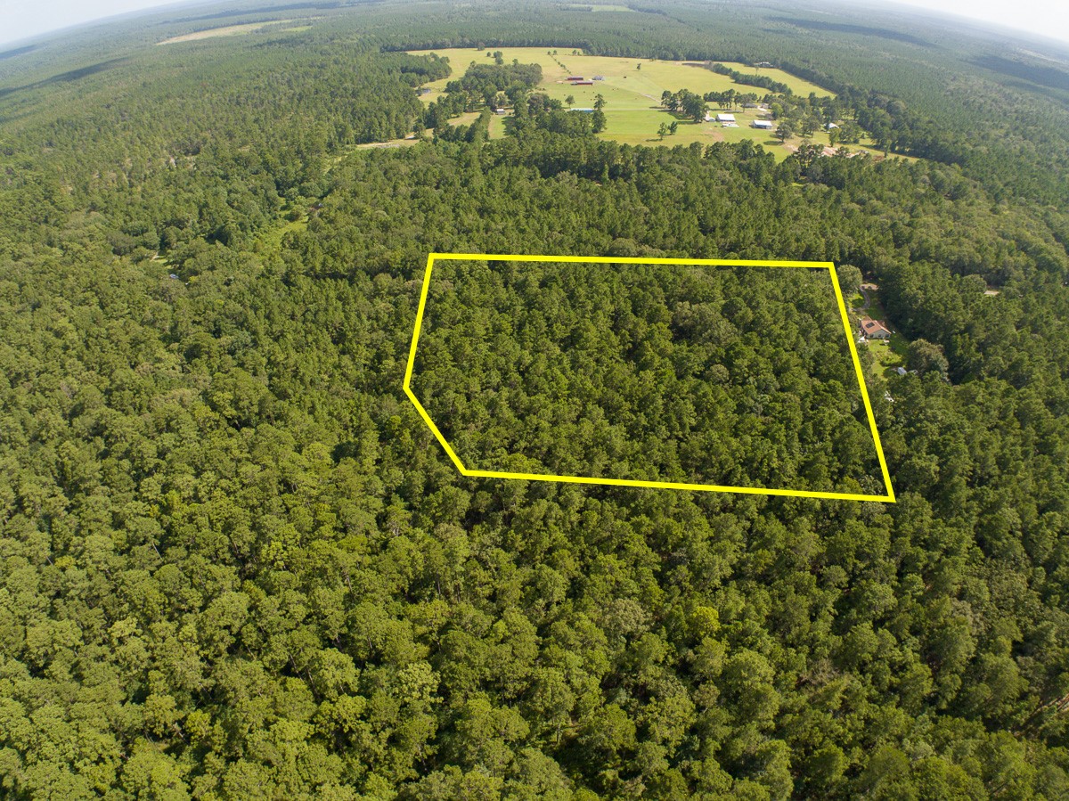 Tbd Cotten Lane Property Photo 2