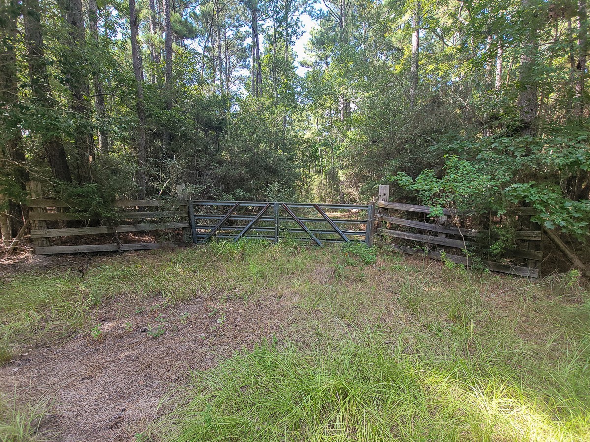 Tbd Cotten Lane Property Photo 3