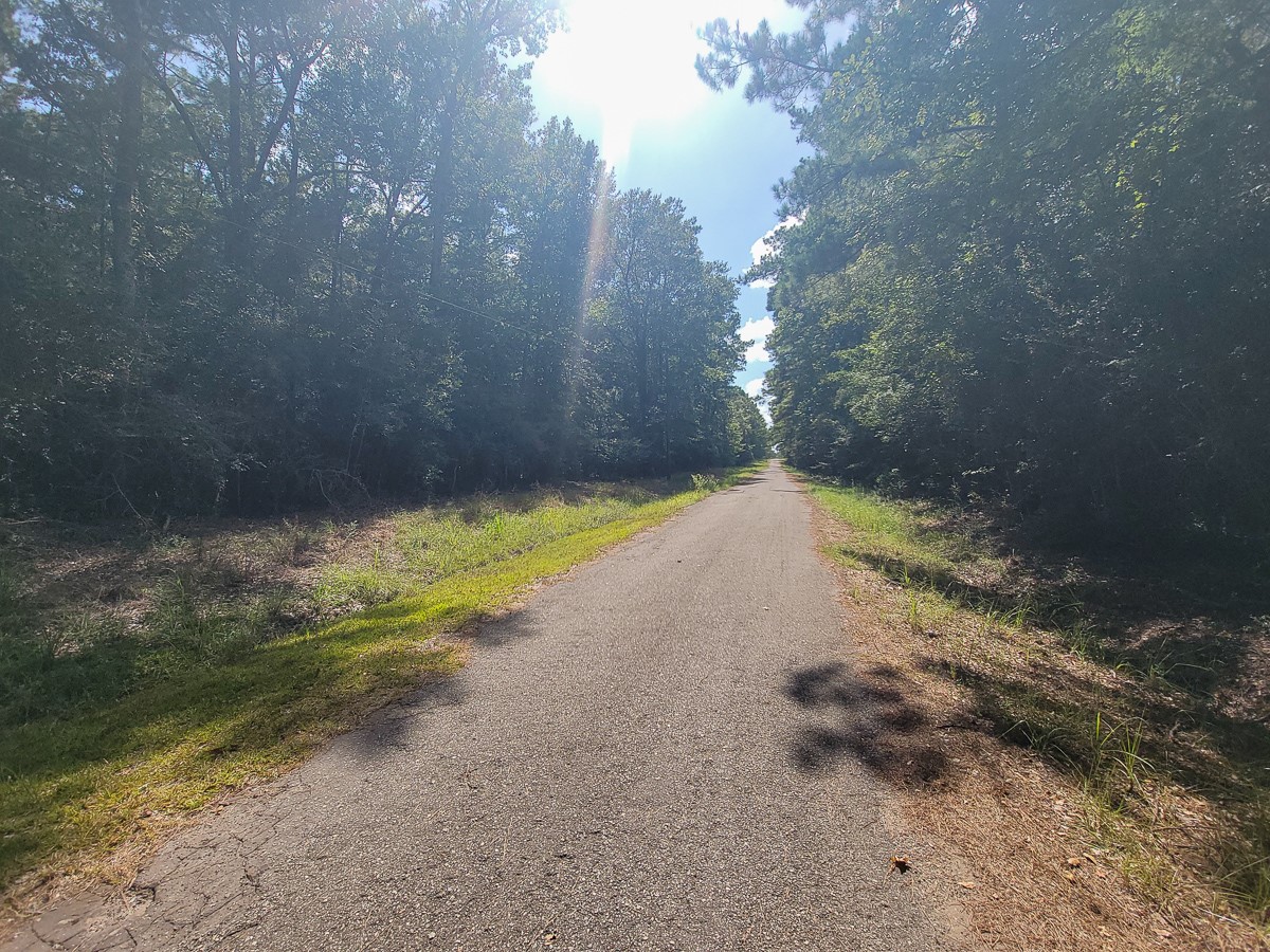 Tbd Cotten Lane Property Photo 4