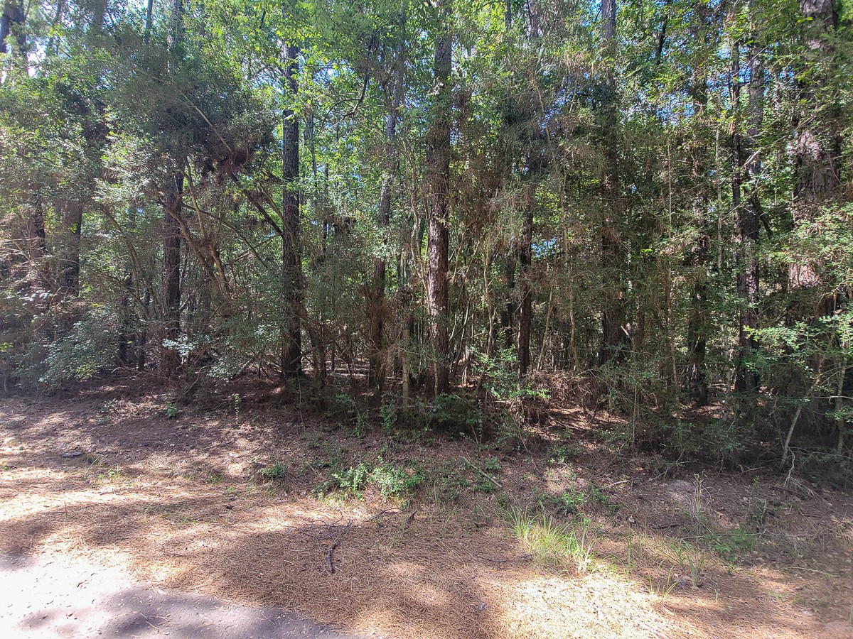 Tbd Cotten Lane Property Photo 5