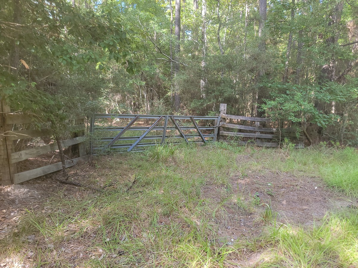 Tbd Cotten Lane Property Photo 6
