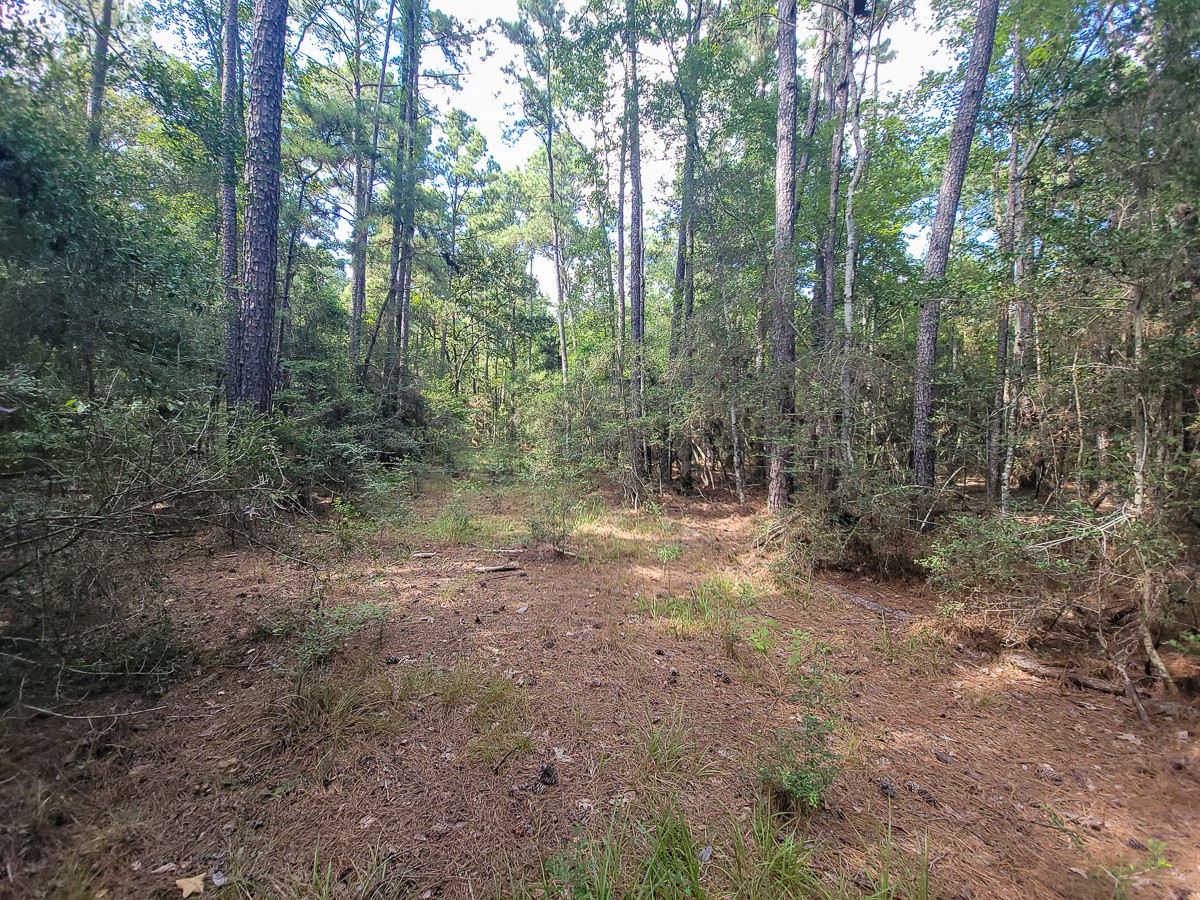 Tbd Cotten Lane Property Photo 7