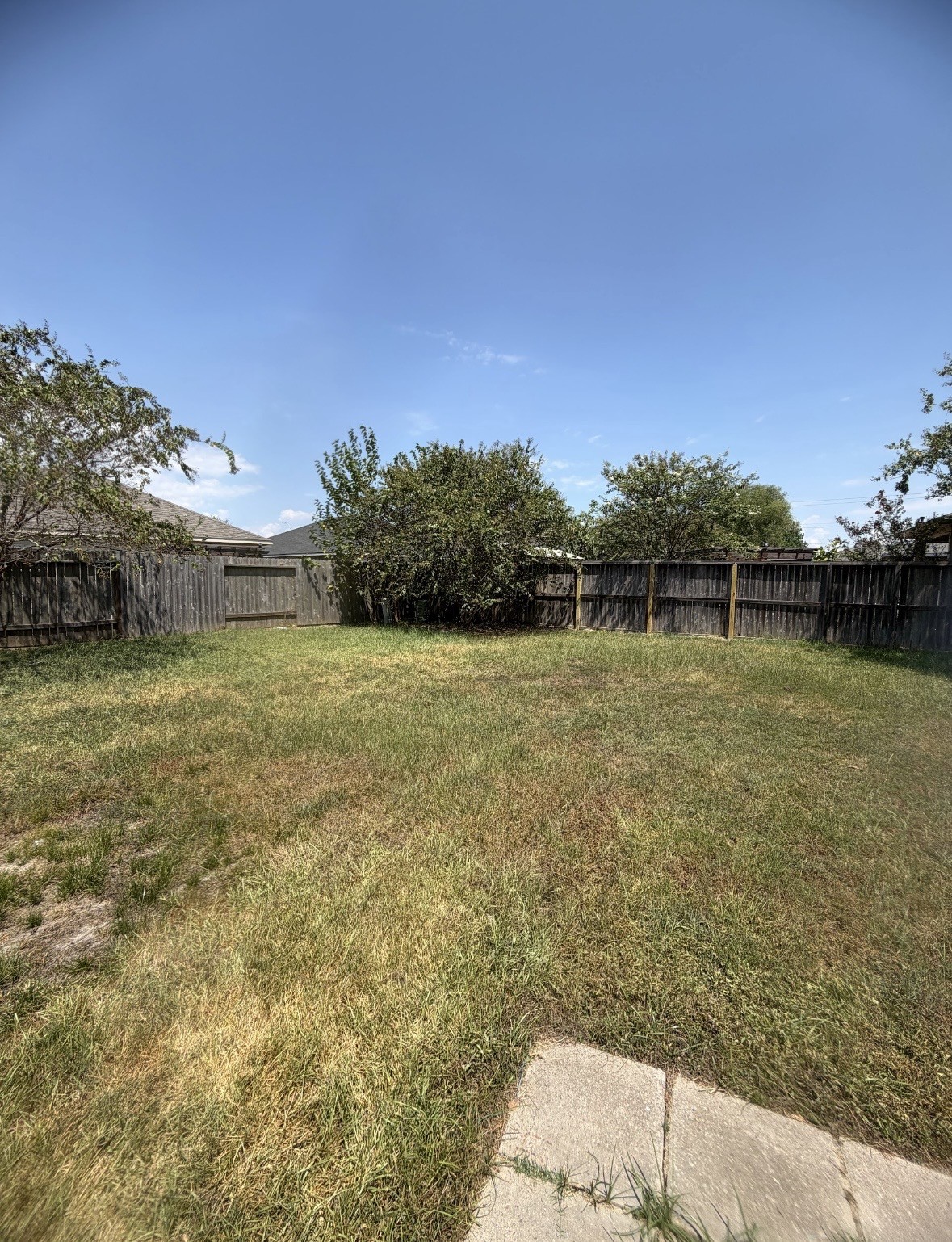 9907 Lynnwood Drive Property Photo 36