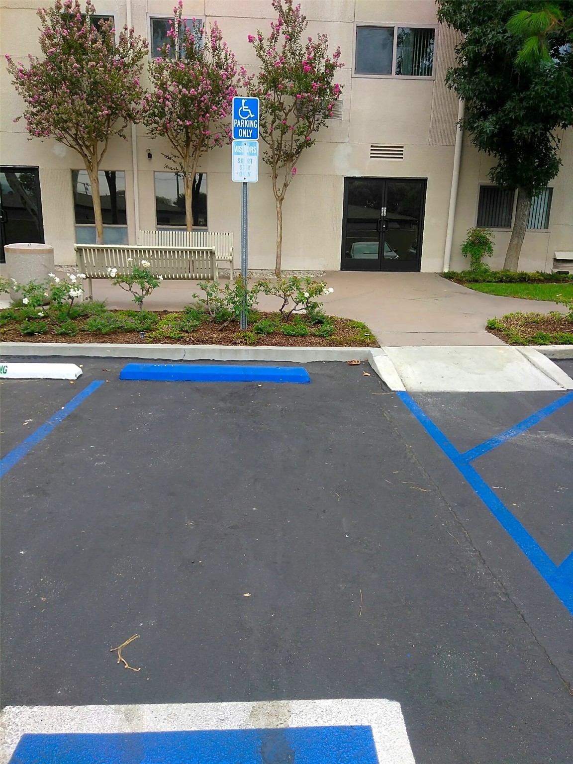 25109 Ebony Ln Property Photo 3