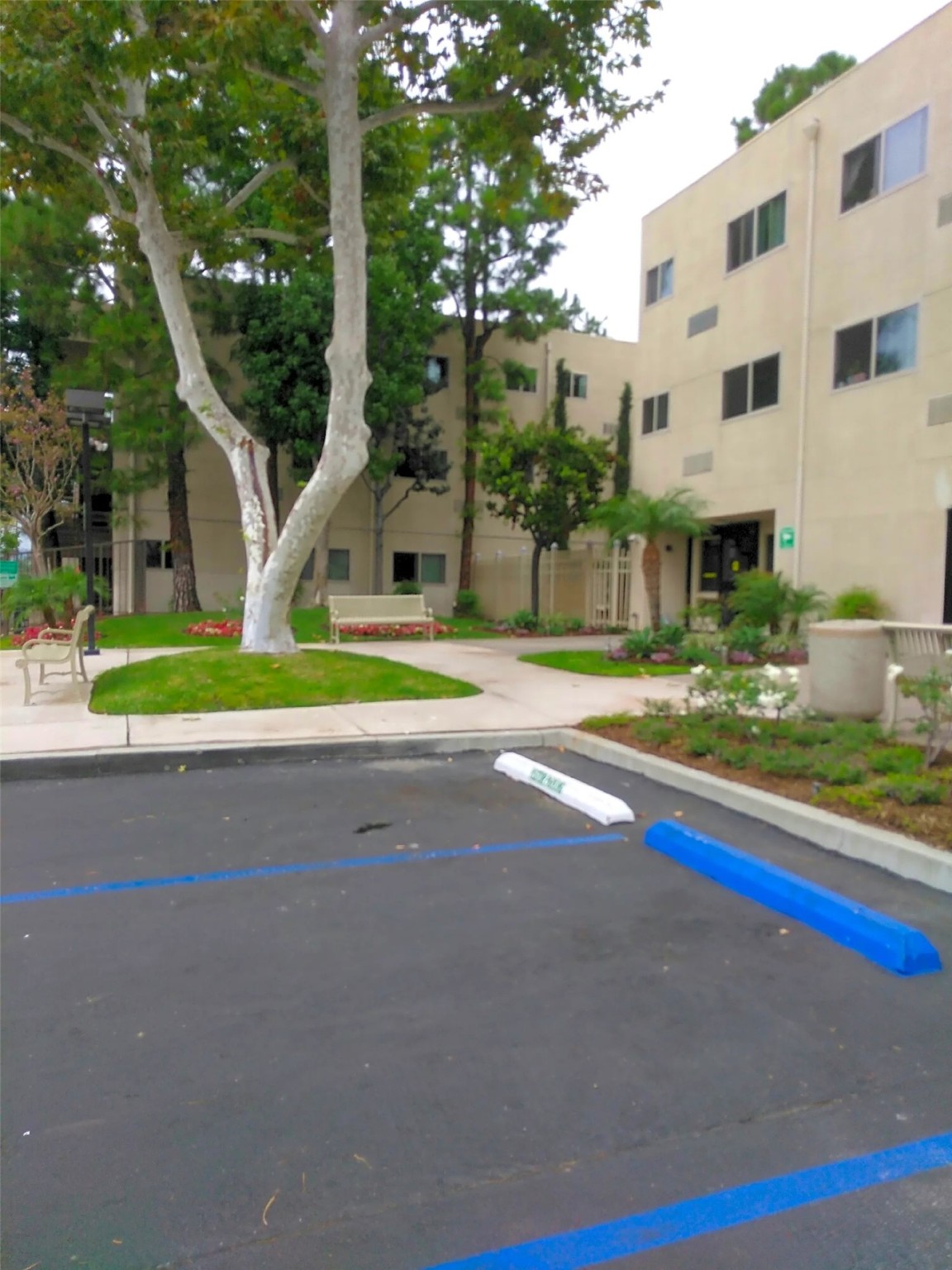 25109 Ebony Ln Property Photo 4