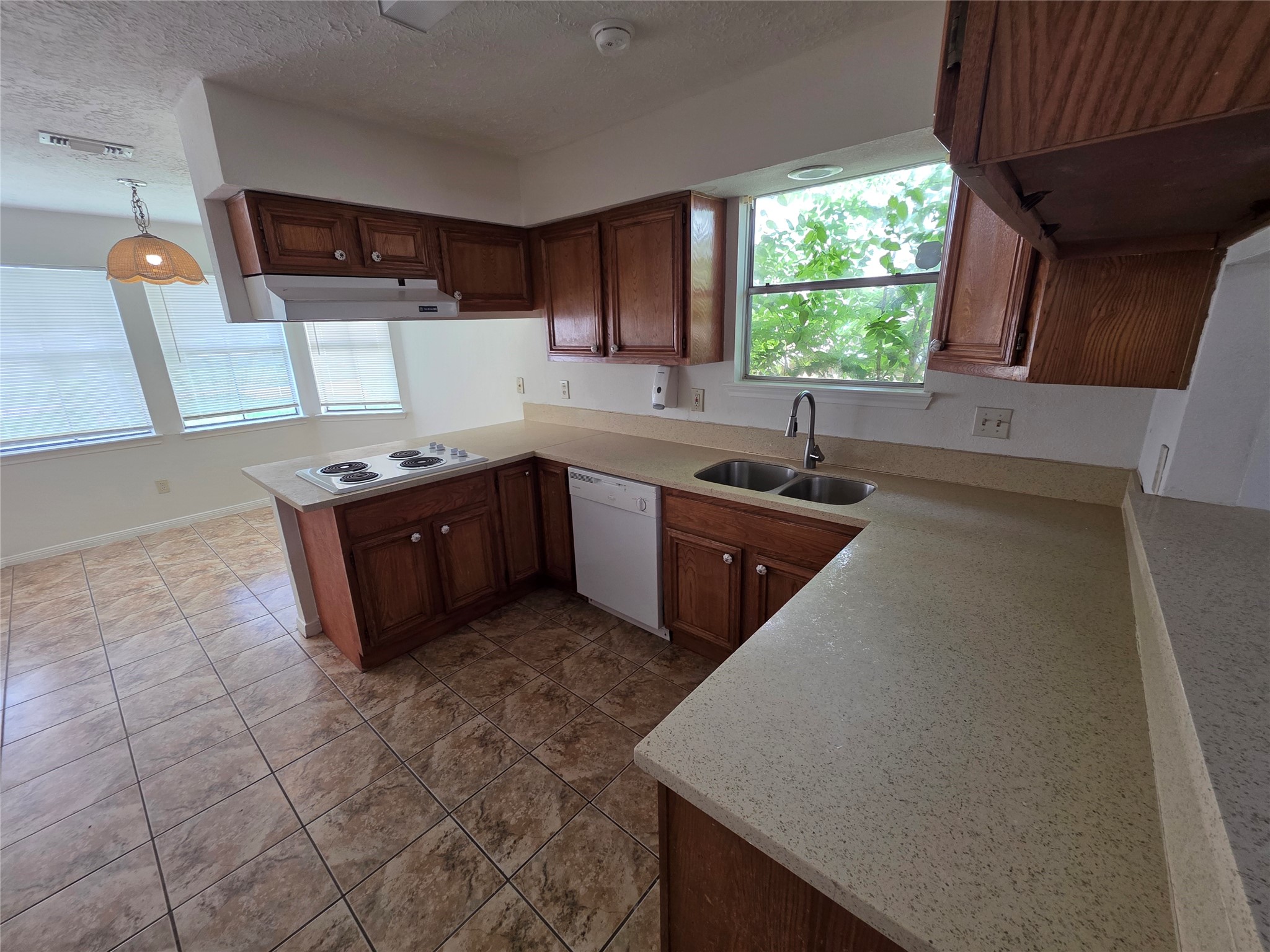 11726 Plumbrook Drive Property Photo 5
