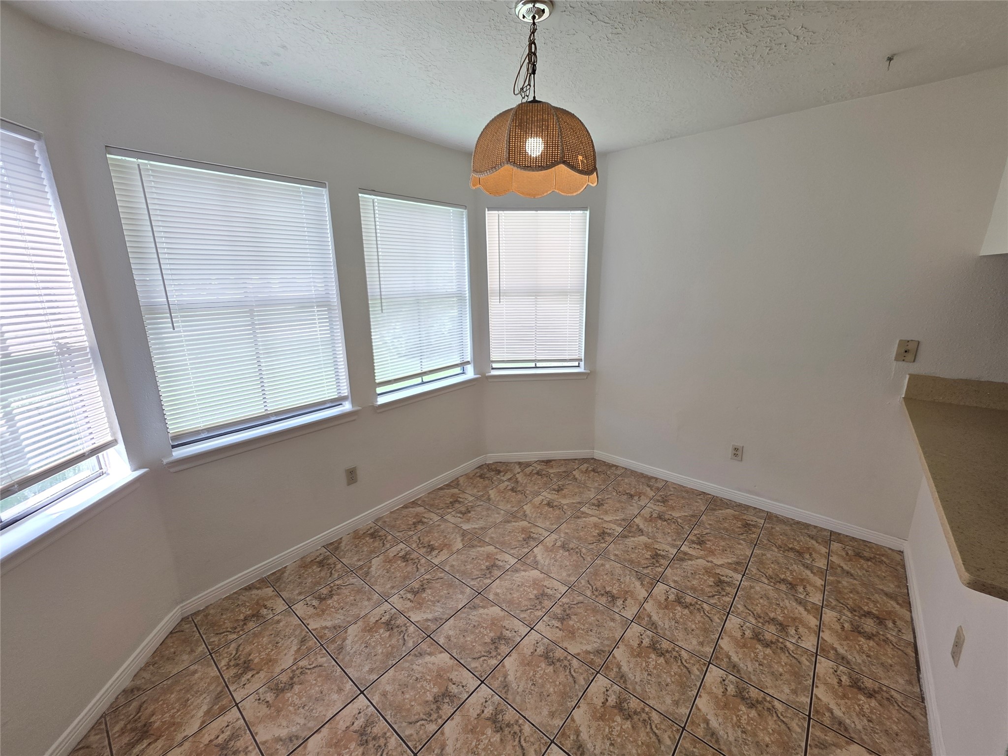 11726 Plumbrook Drive Property Photo 6