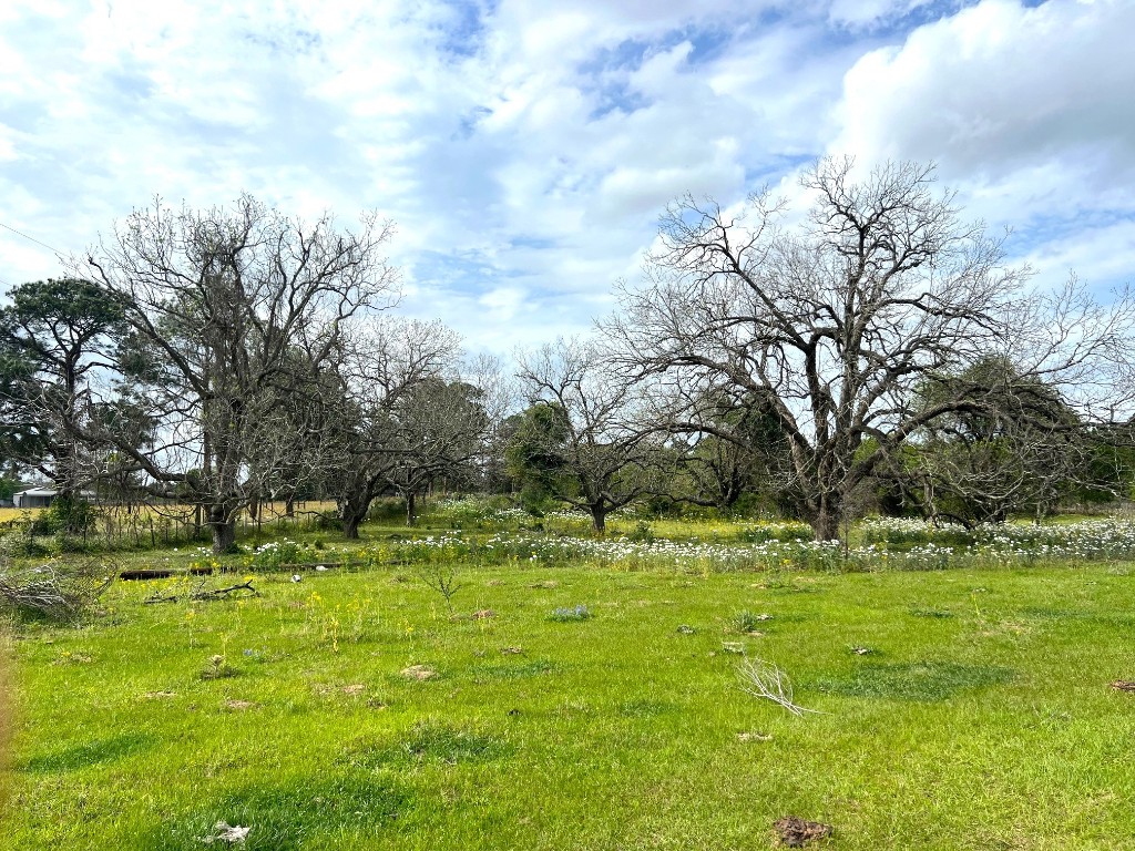 1900 Hluchan Property Photo