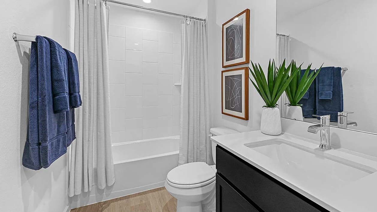 10734 Dogwood Sky Drive Property Photo 14