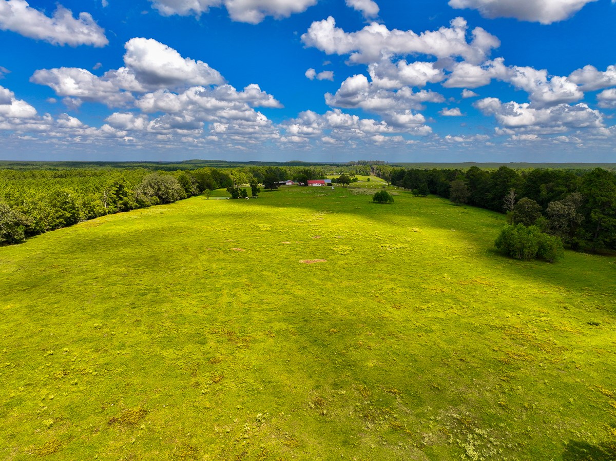 567 Tamie Lowe Road Property Photo 8