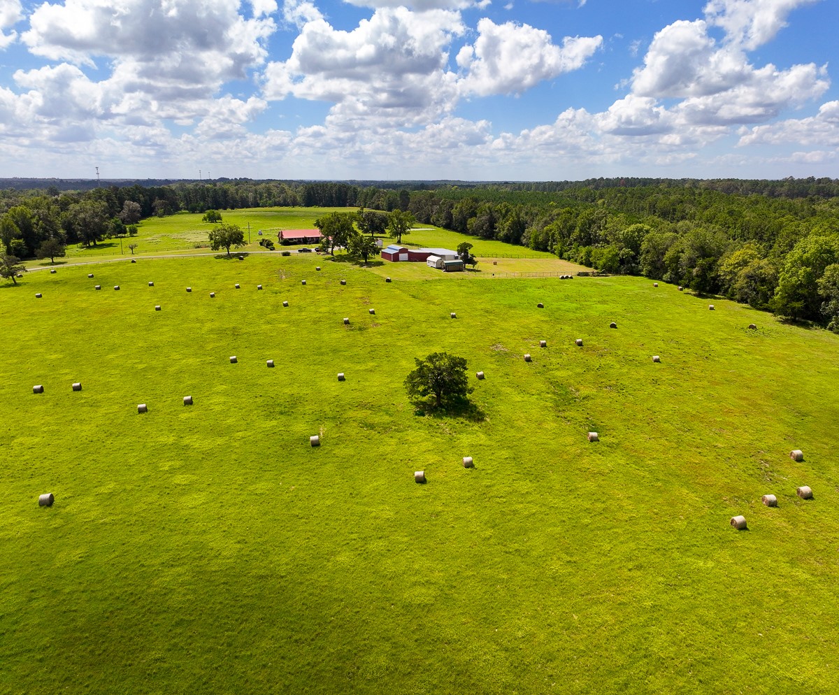 567 Tamie Lowe Road Property Photo 10