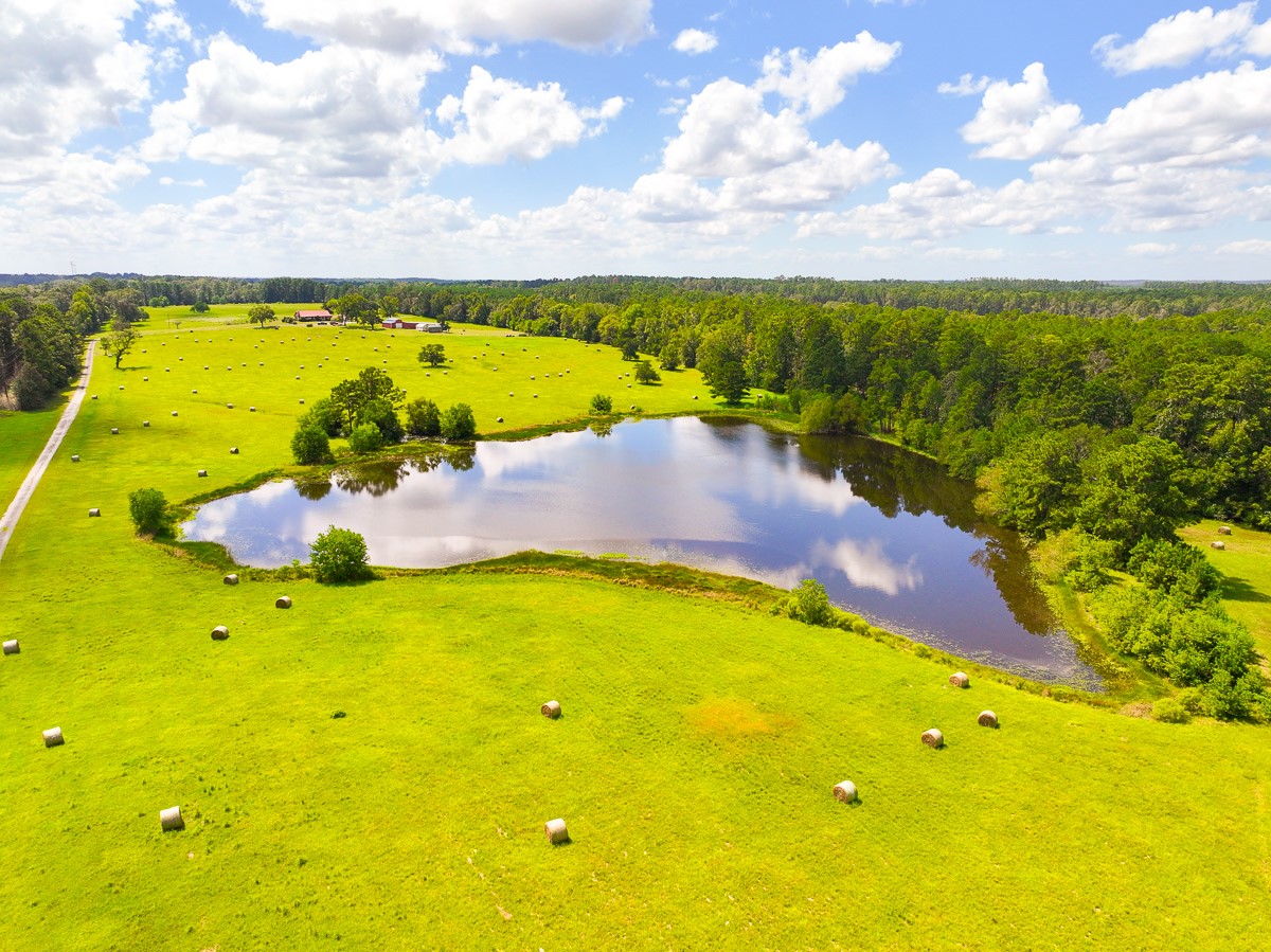 567 Tamie Lowe Road Property Photo 11