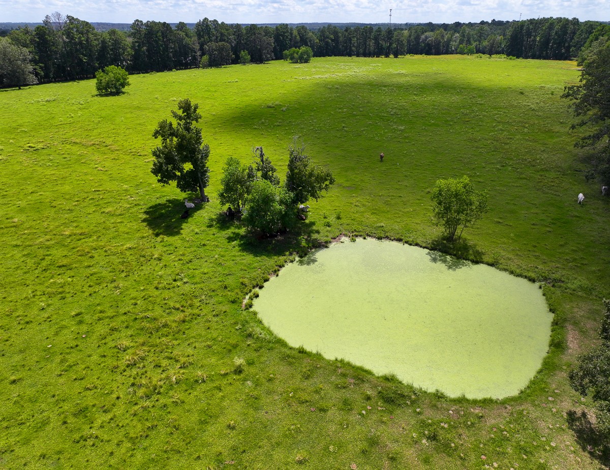 567 Tamie Lowe Road Property Photo 13