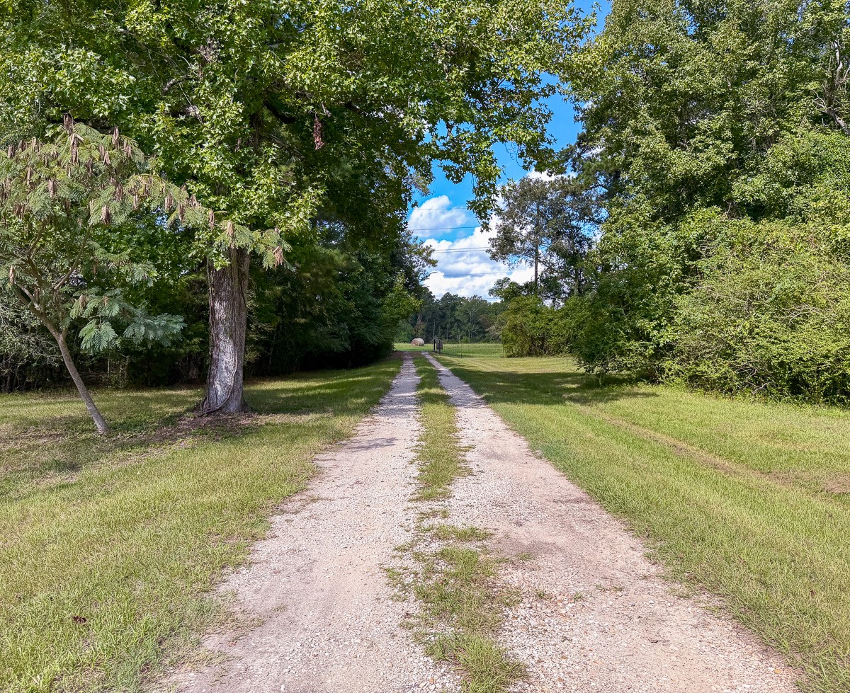 567 Tamie Lowe Road Property Photo 21