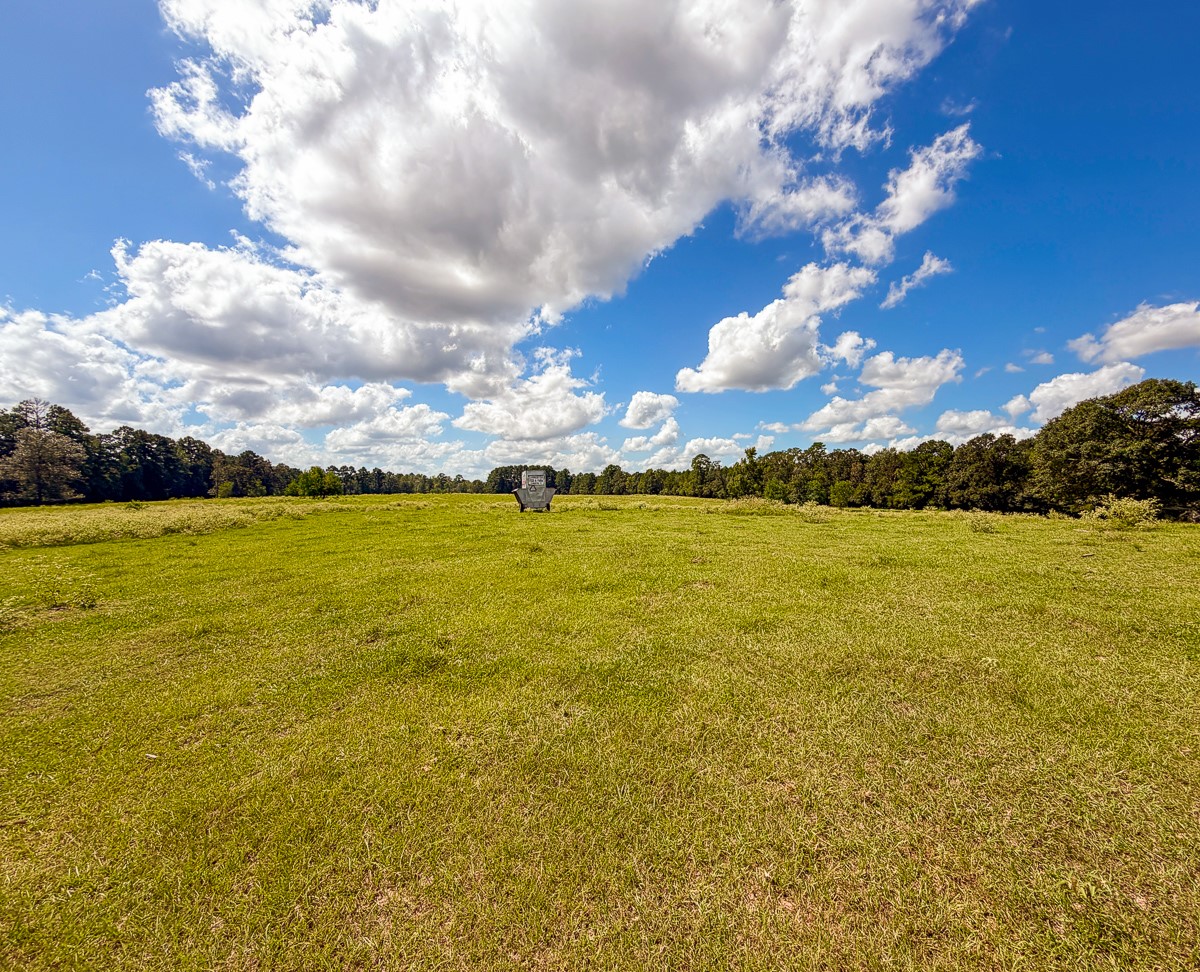 567 Tamie Lowe Road Property Photo 31