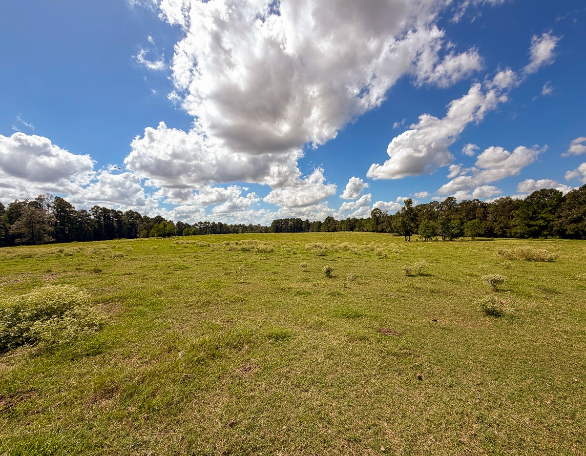 567 Tamie Lowe Road Property Photo 32