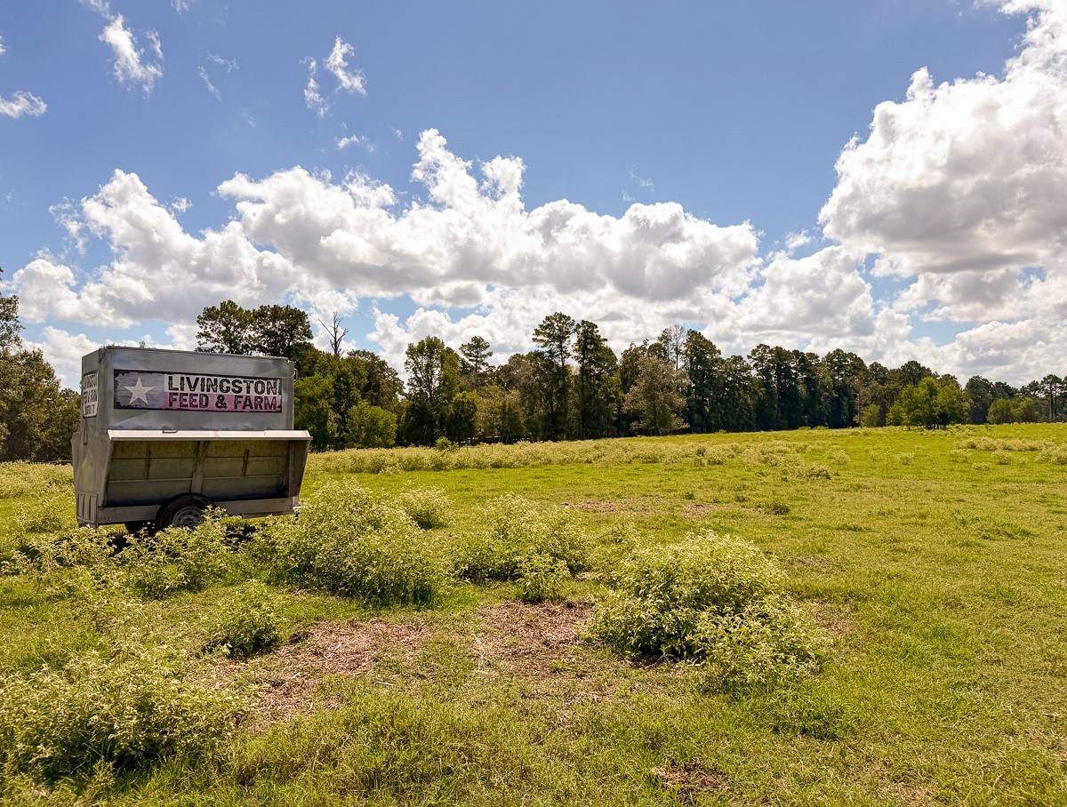 567 Tamie Lowe Road Property Photo 33