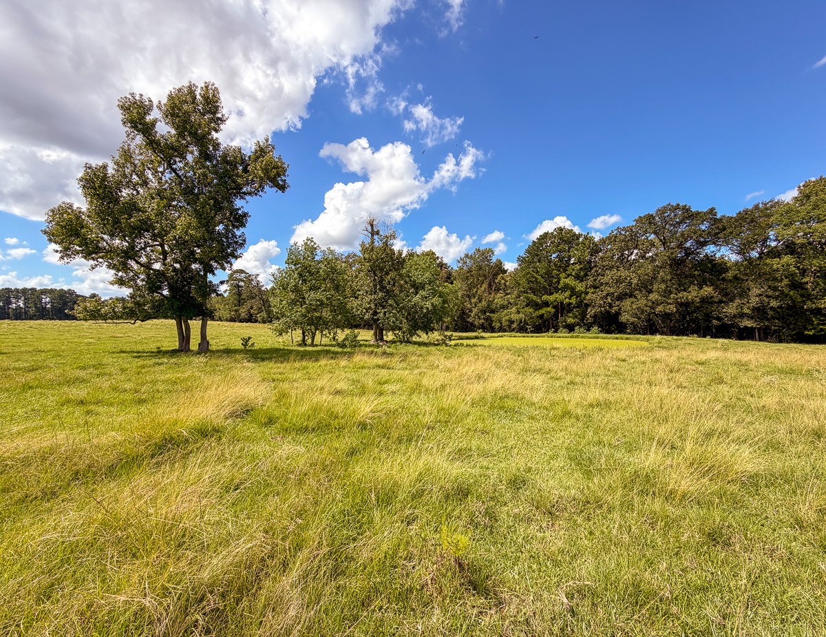 567 Tamie Lowe Road Property Photo 34