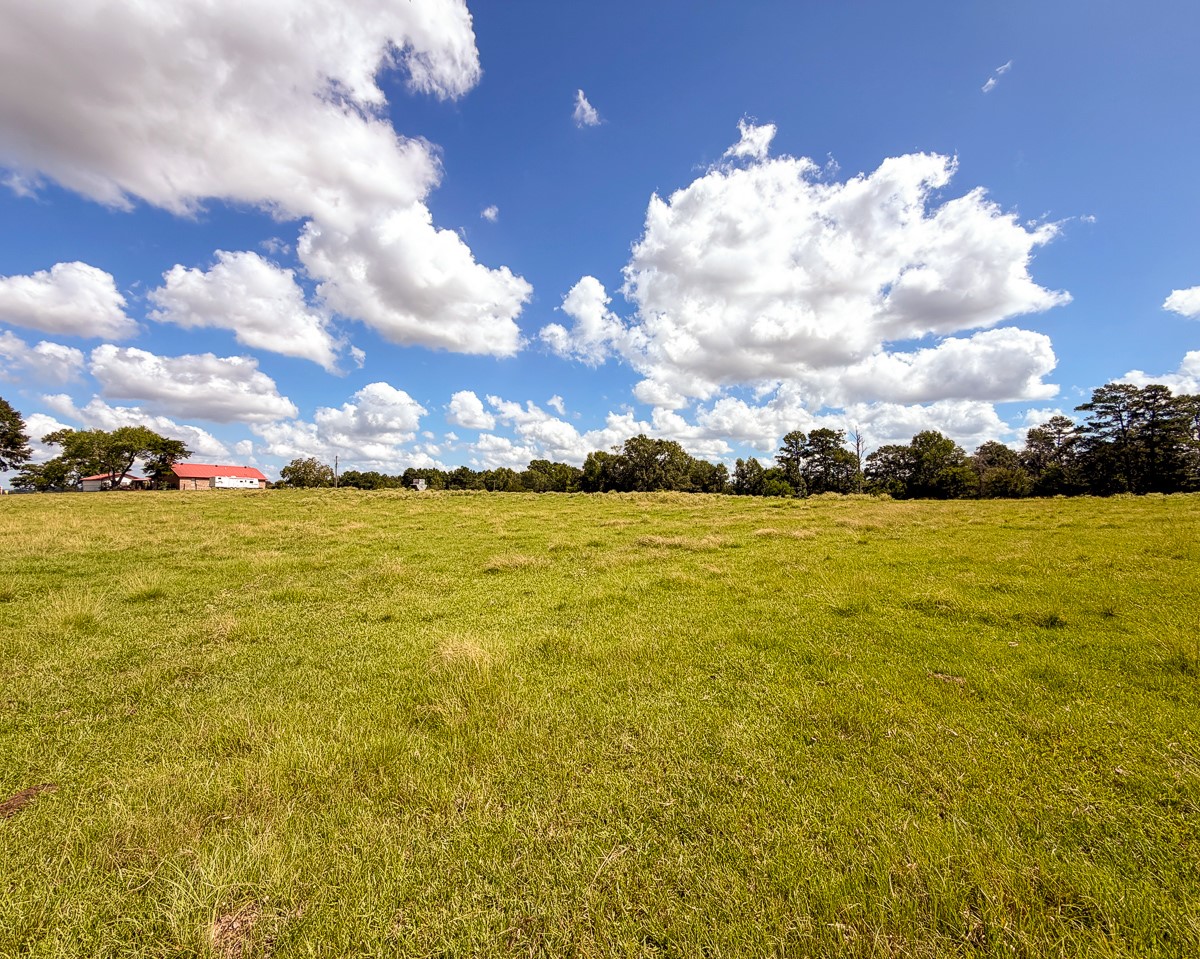 567 Tamie Lowe Road Property Photo 35