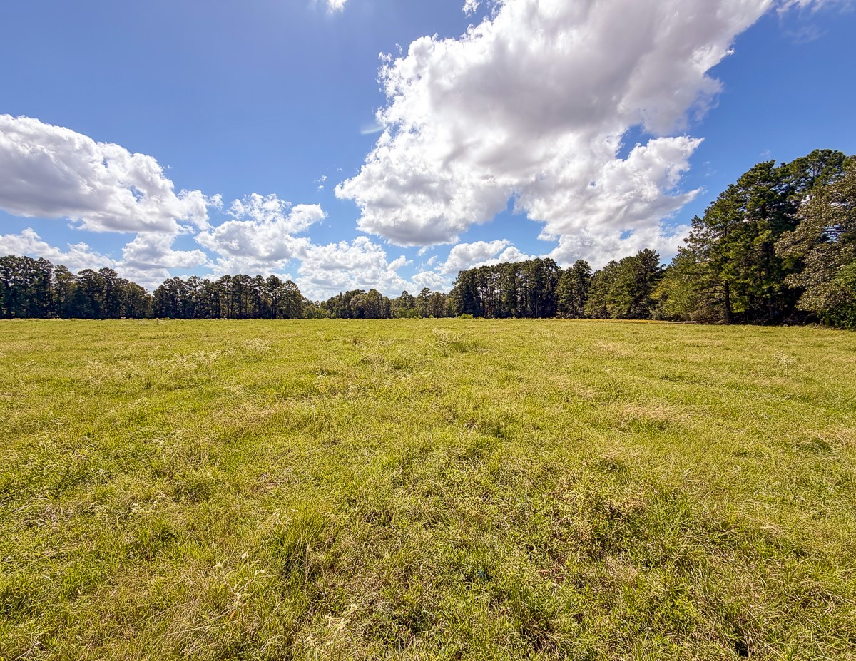 567 Tamie Lowe Road Property Photo 36