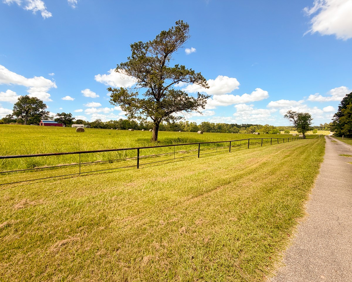 567 Tamie Lowe Road Property Photo 41