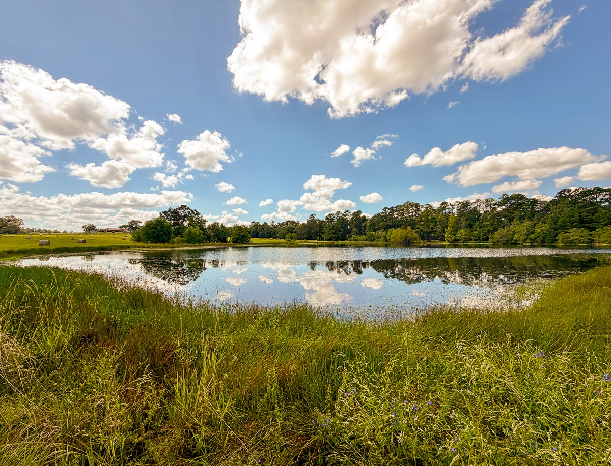 567 Tamie Lowe Road Property Photo 42
