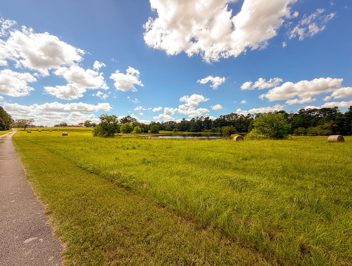 567 Tamie Lowe Road Property Photo 43