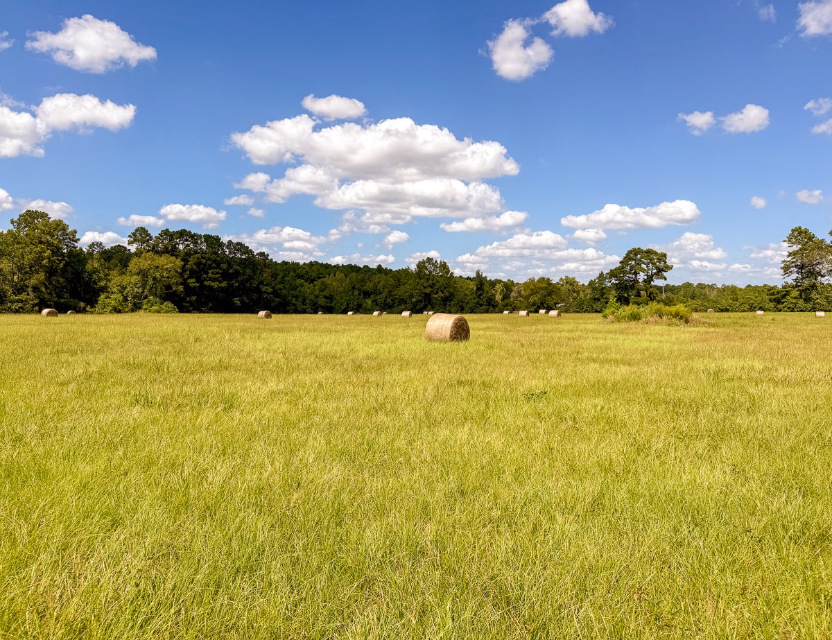 567 Tamie Lowe Road Property Photo 44