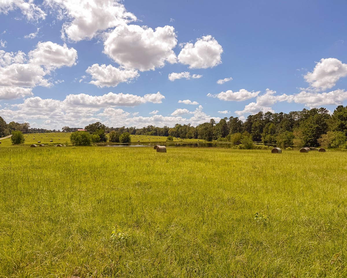 567 Tamie Lowe Road Property Photo 45