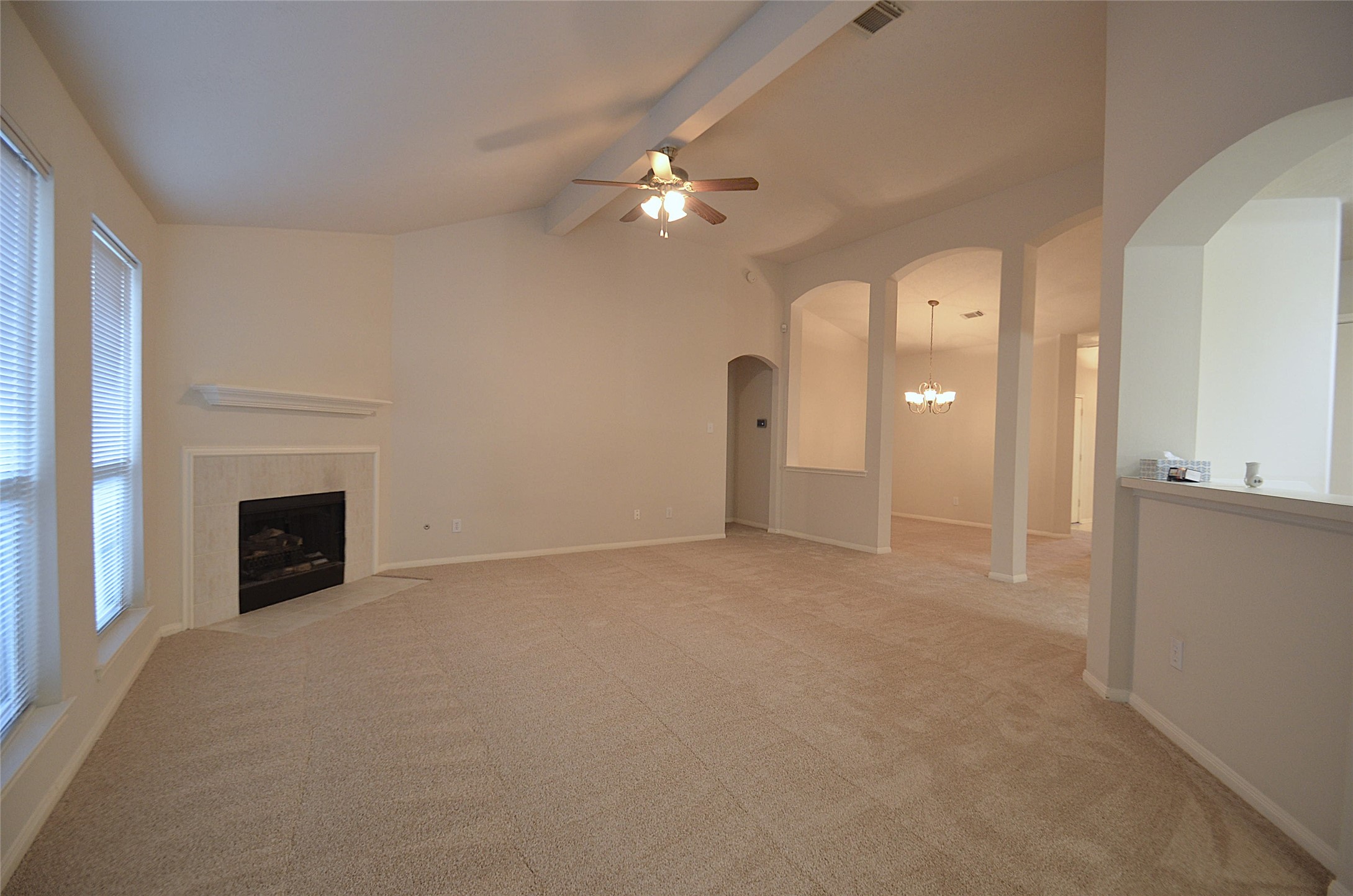 4831 Elkmont Court Property Photo 7