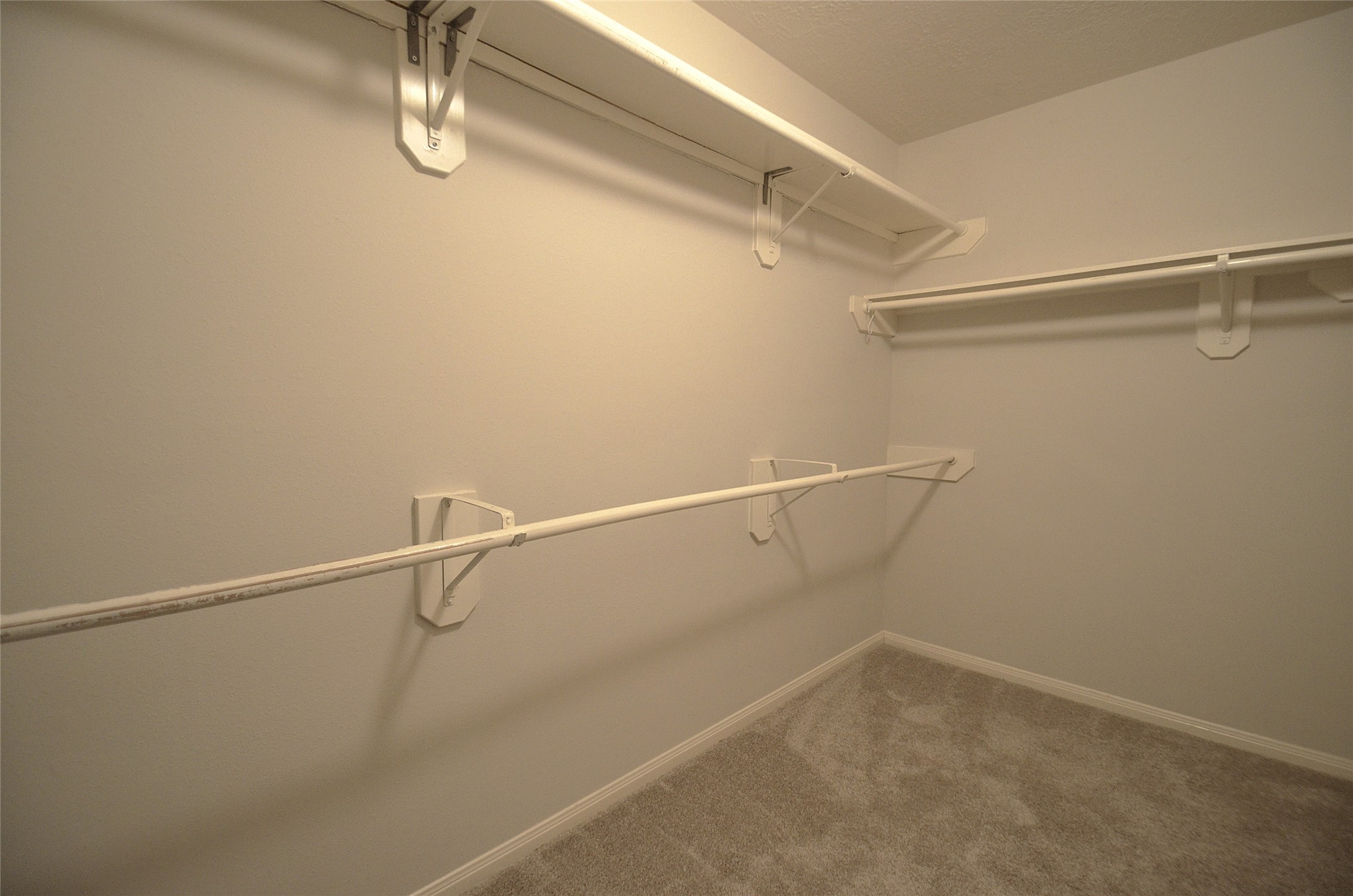 4831 Elkmont Court Property Photo 17