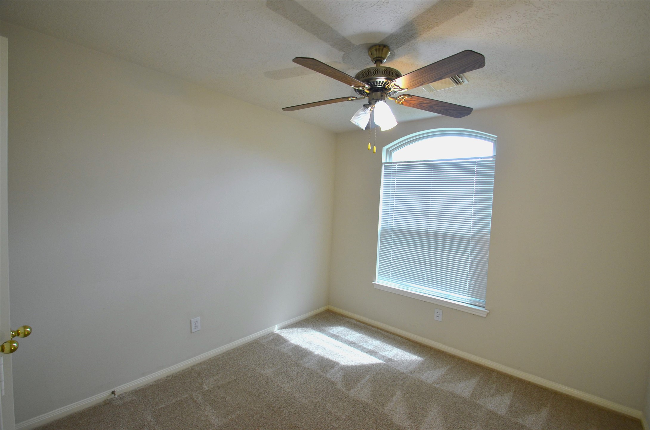 4831 Elkmont Court Property Photo 21