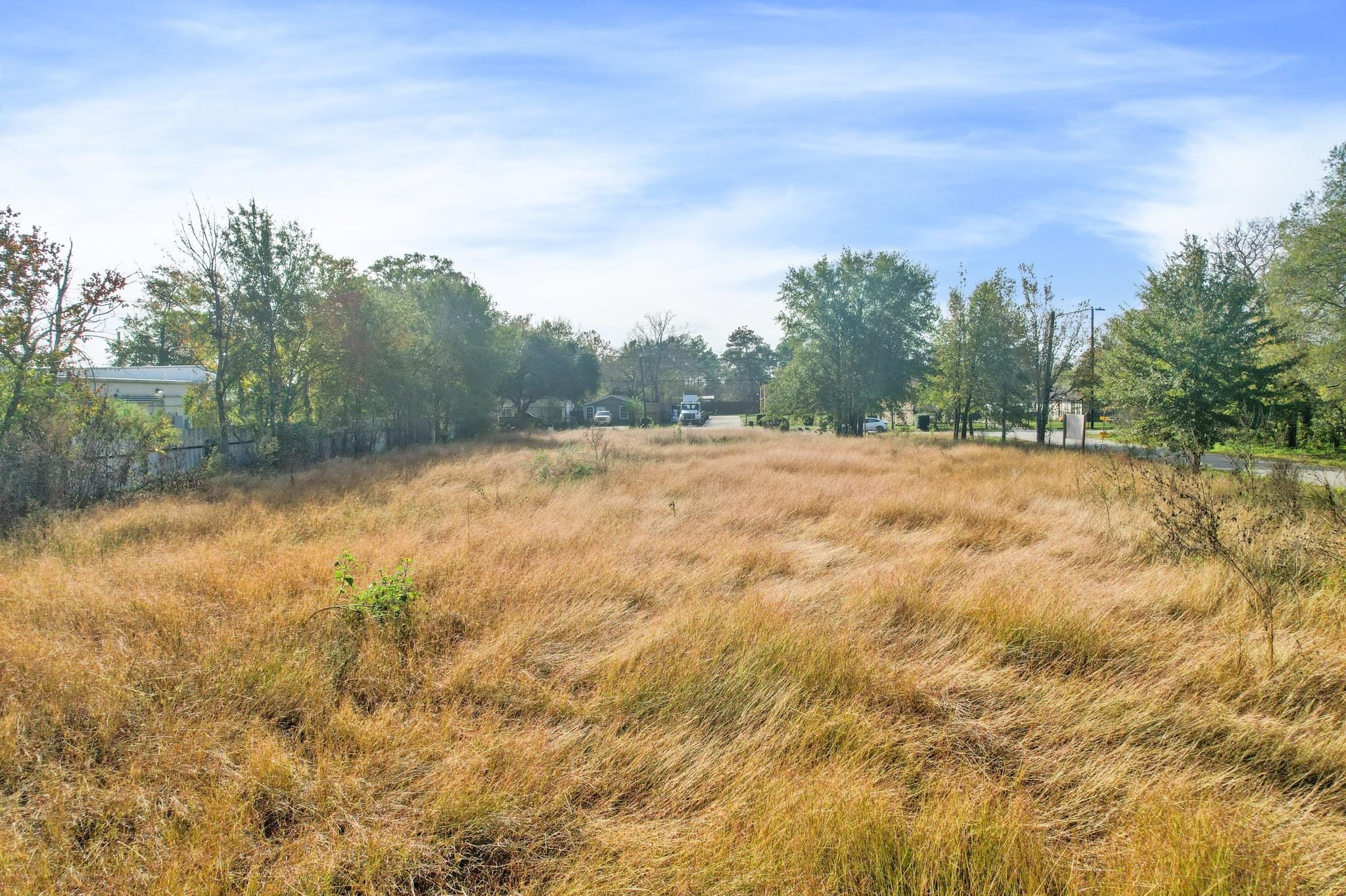 11114 Ivy Leaf Street Property Photo 5