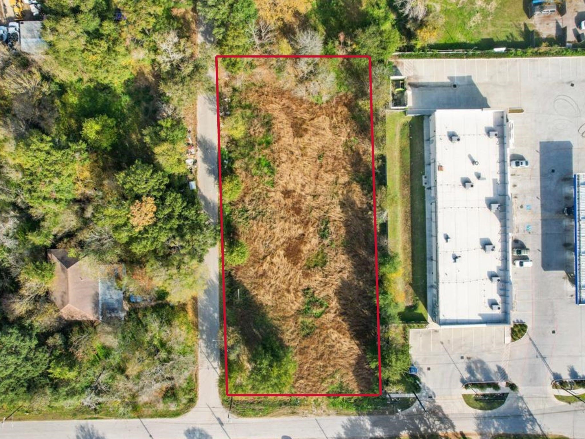 11114 Ivy Leaf Street Property Photo 6