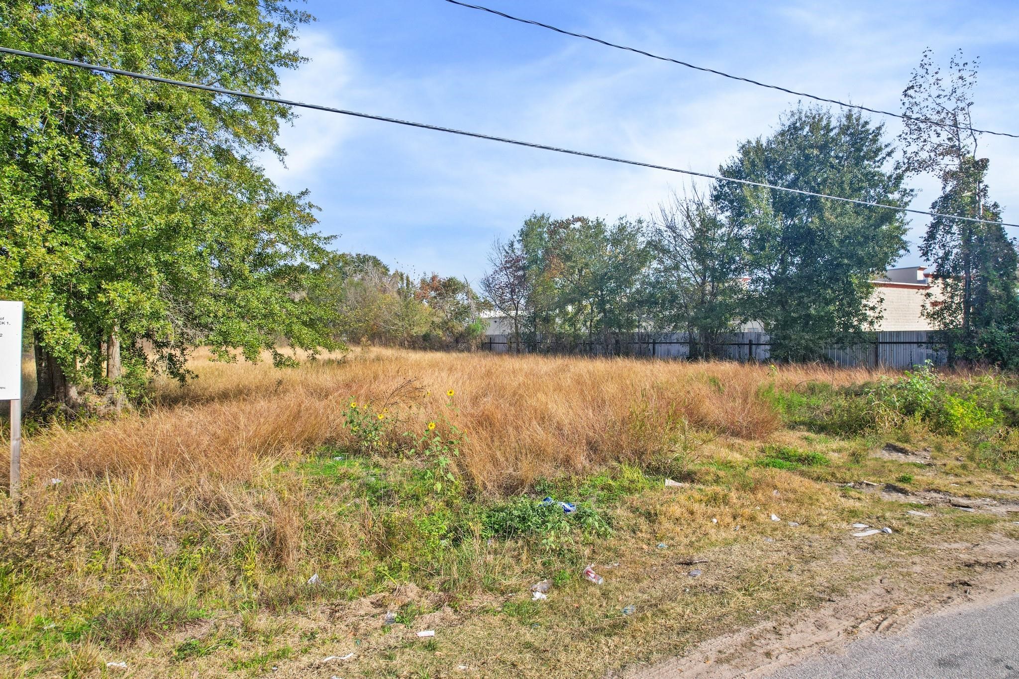 11114 Ivy Leaf Street Property Photo 8