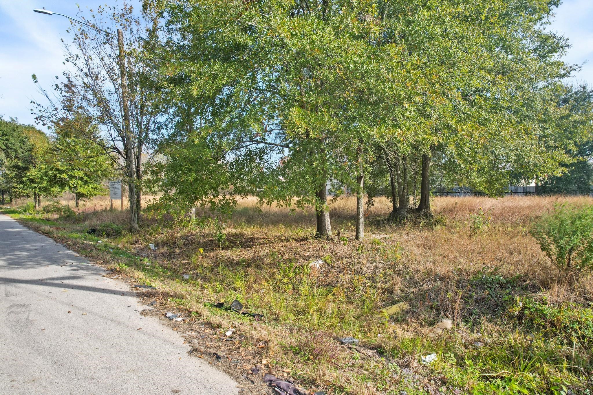 11114 Ivy Leaf Street Property Photo 9