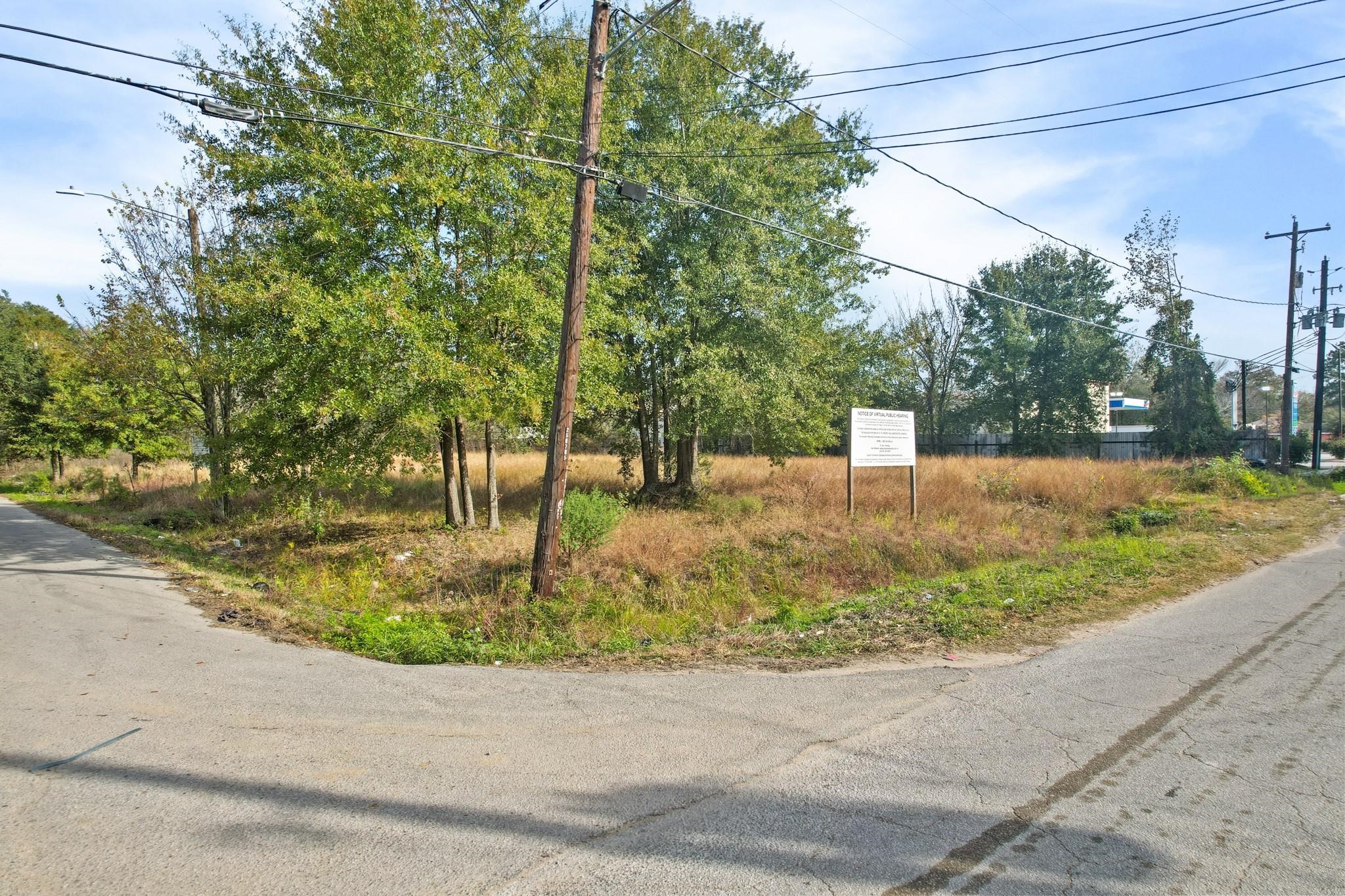 11114 Ivy Leaf Street Property Photo 10