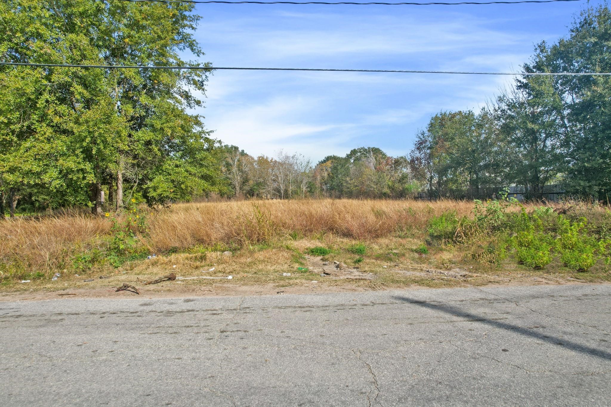 11114 Ivy Leaf Street Property Photo 11