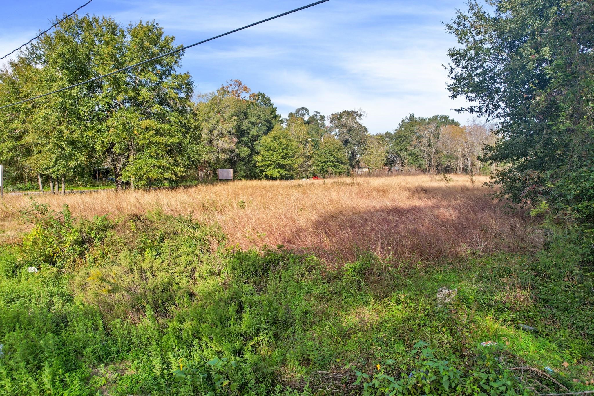 11114 Ivy Leaf Street Property Photo 12