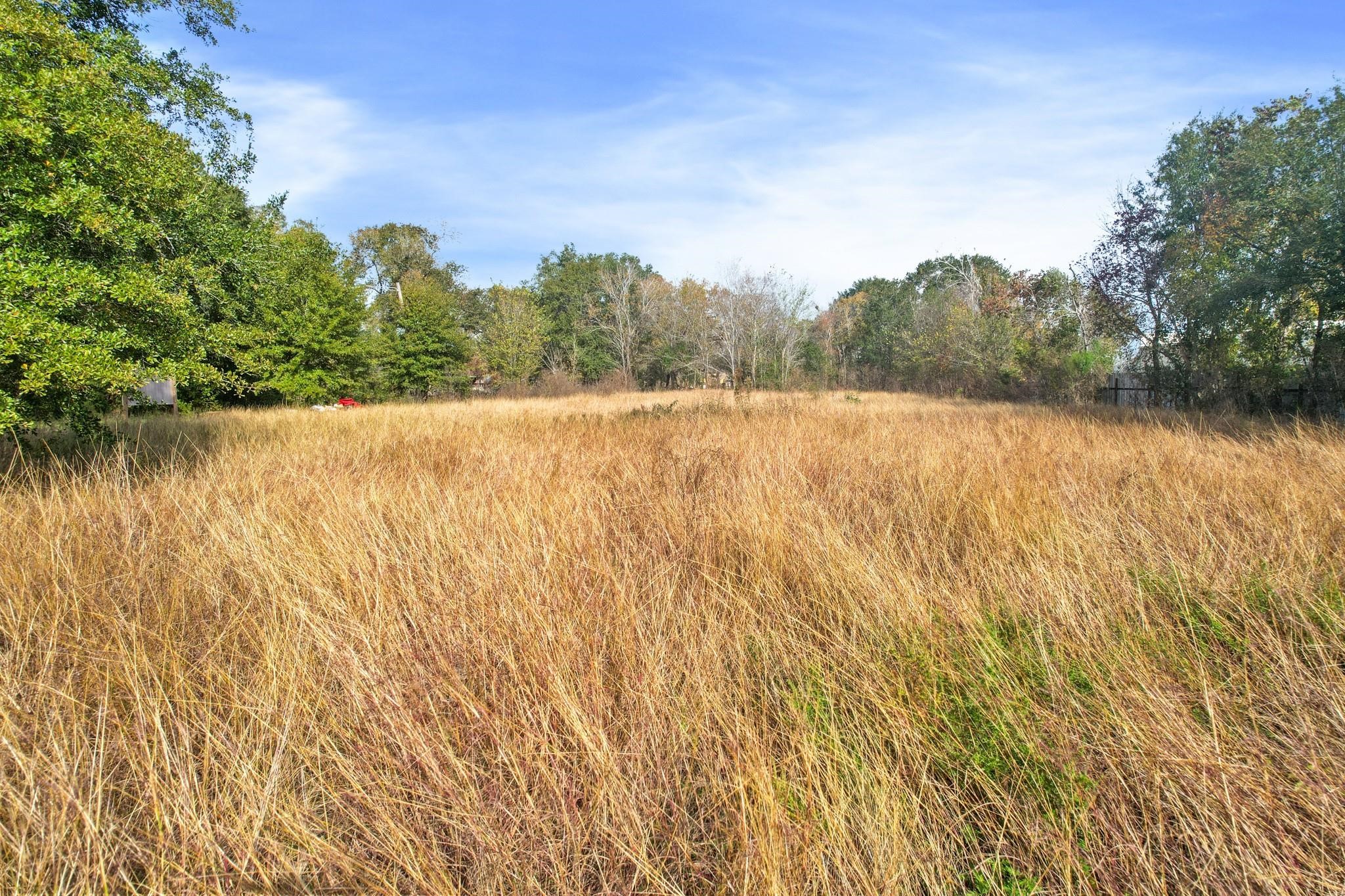11114 Ivy Leaf Street Property Photo 13