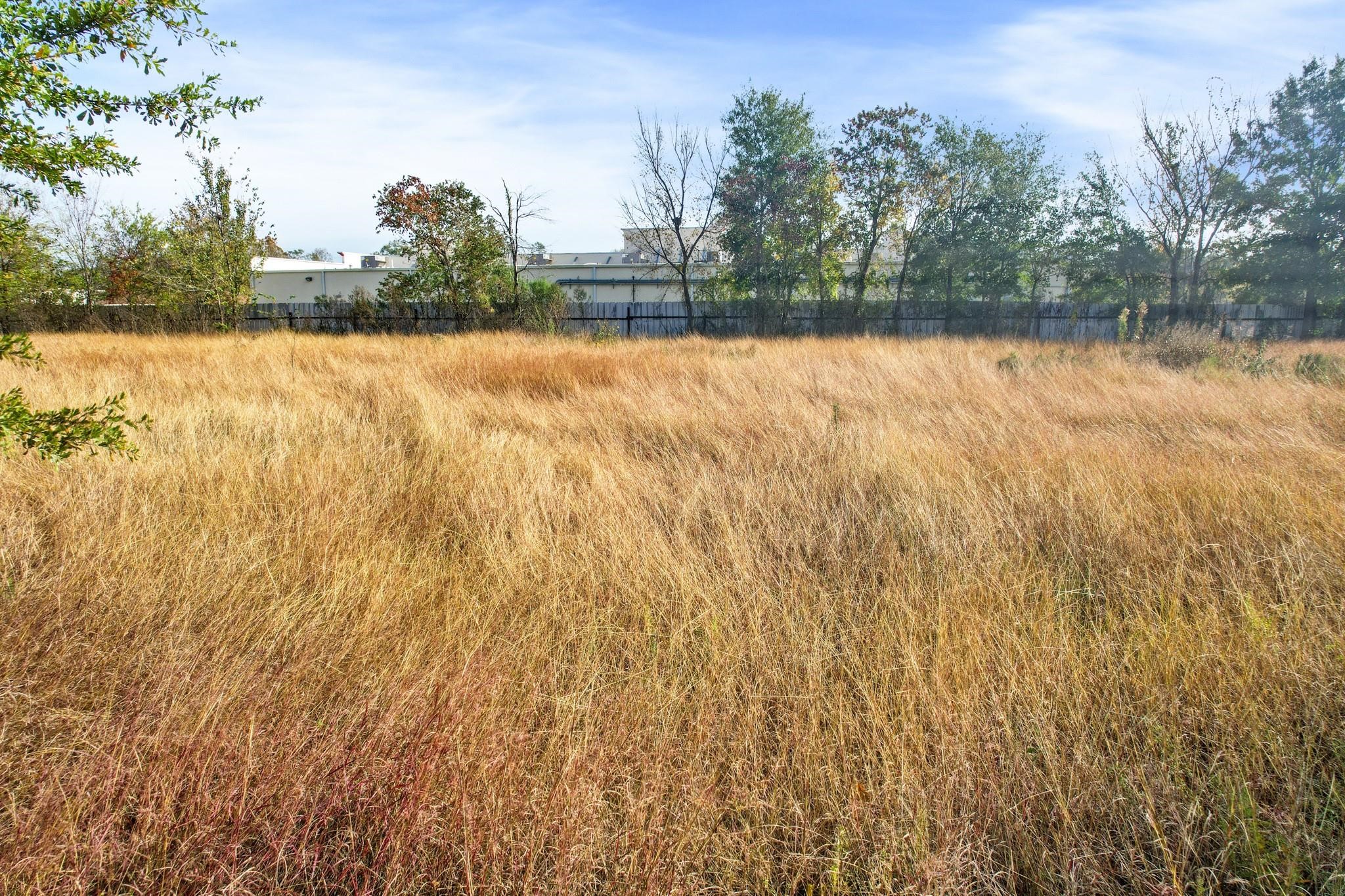 11114 Ivy Leaf Street Property Photo 14