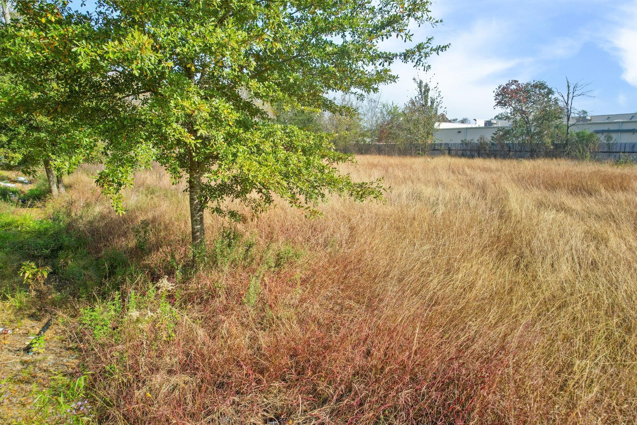 11114 Ivy Leaf Street Property Photo 15