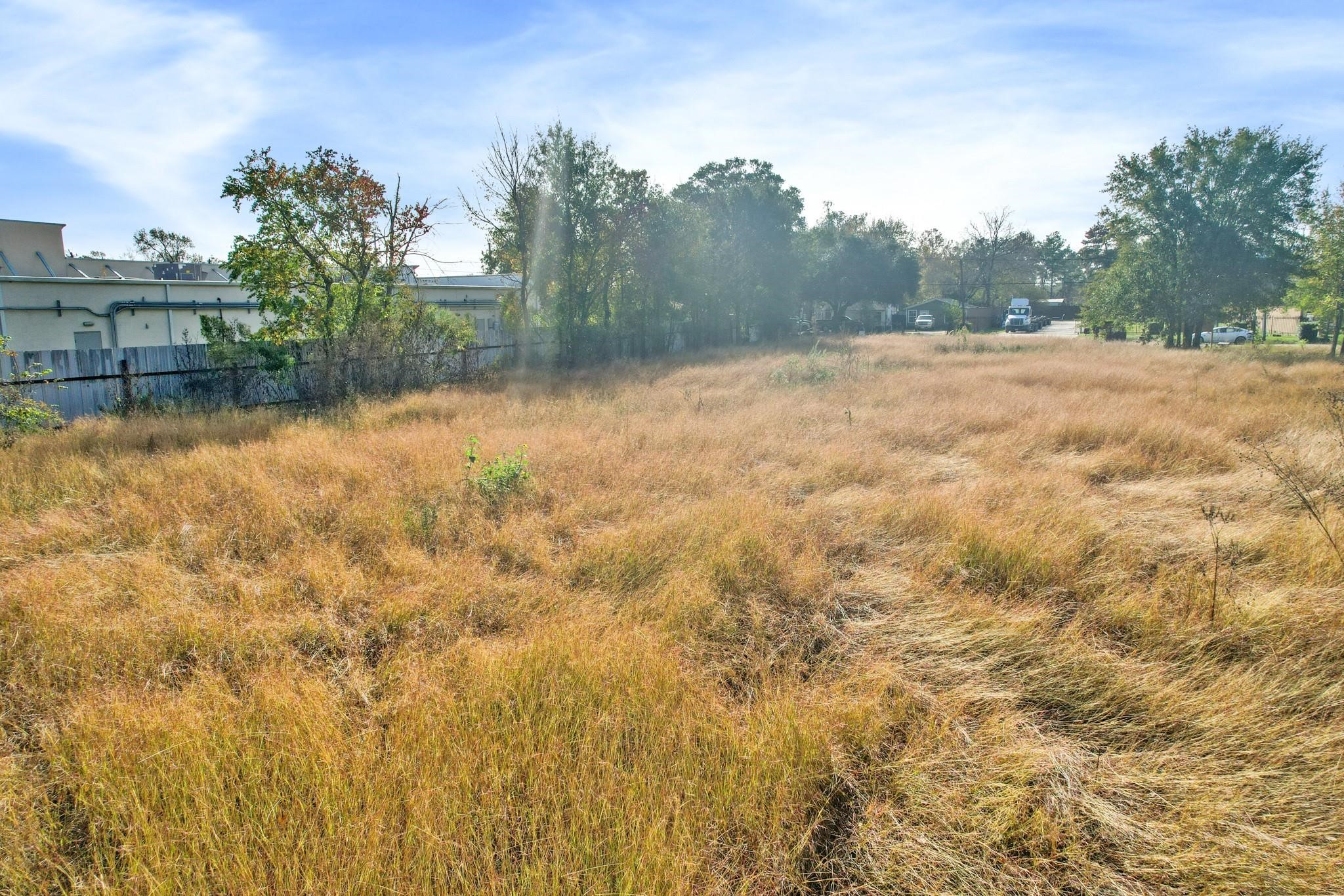 11114 Ivy Leaf Street Property Photo 16