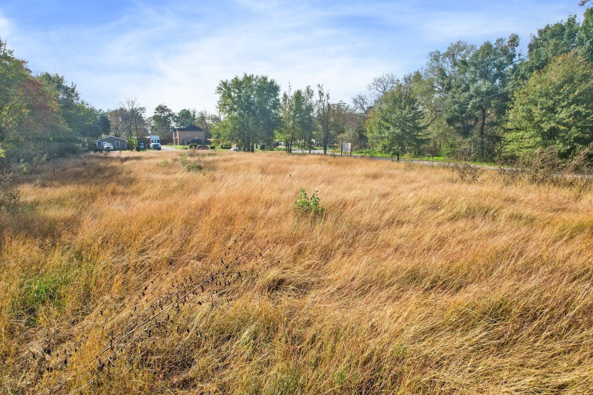 11114 Ivy Leaf Street Property Photo 17