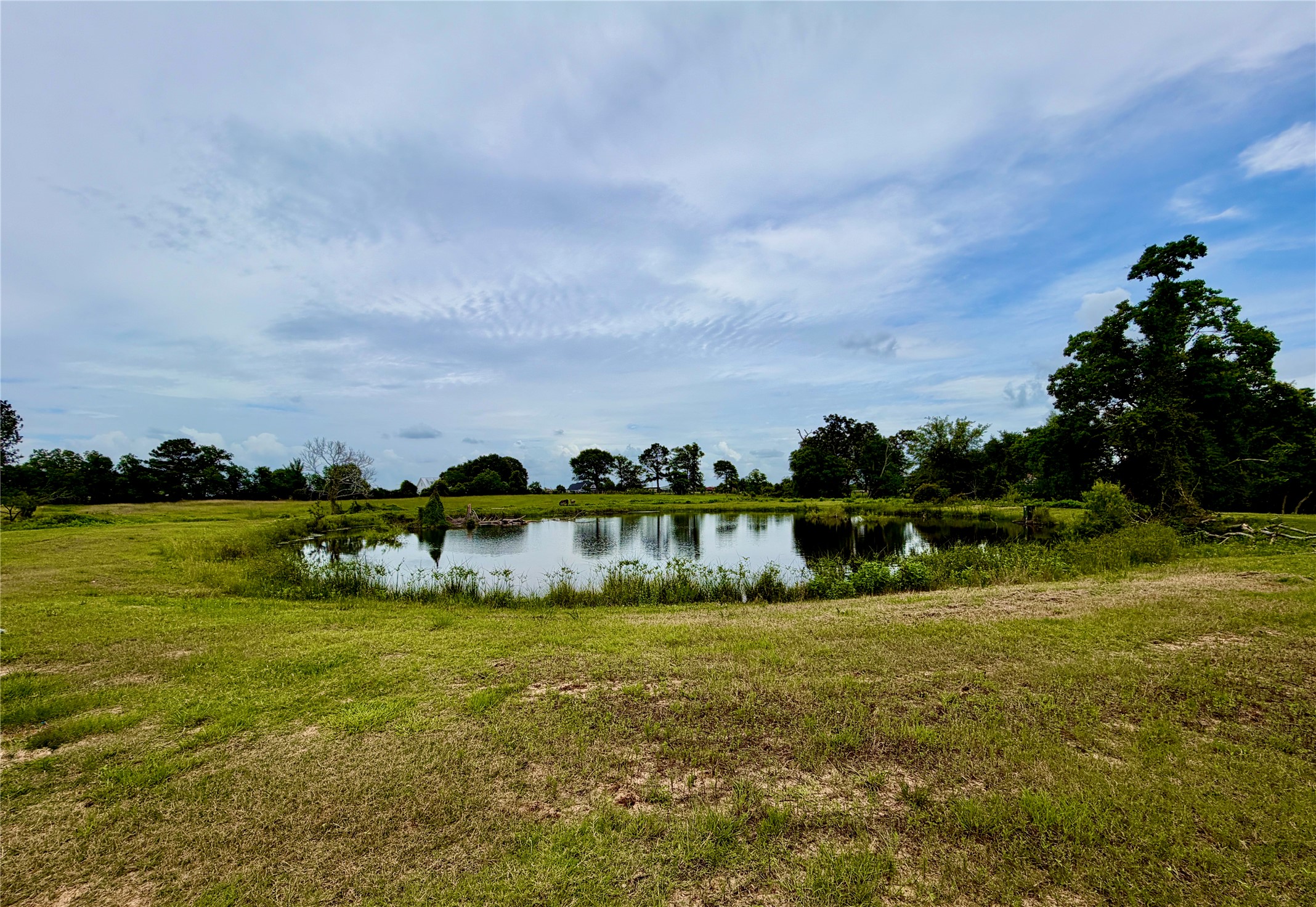 26534 Mitchel Road Property Photo 44