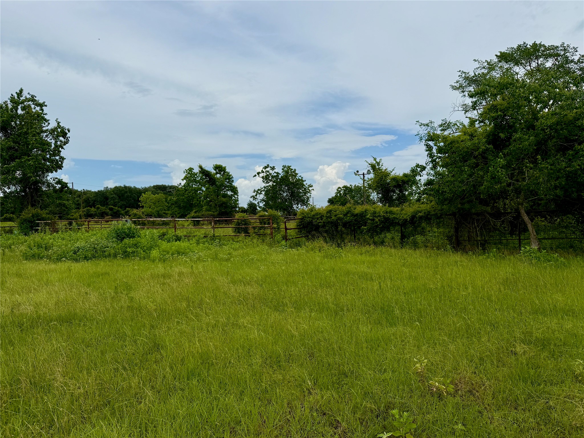 26534 Mitchel Road Property Photo 45