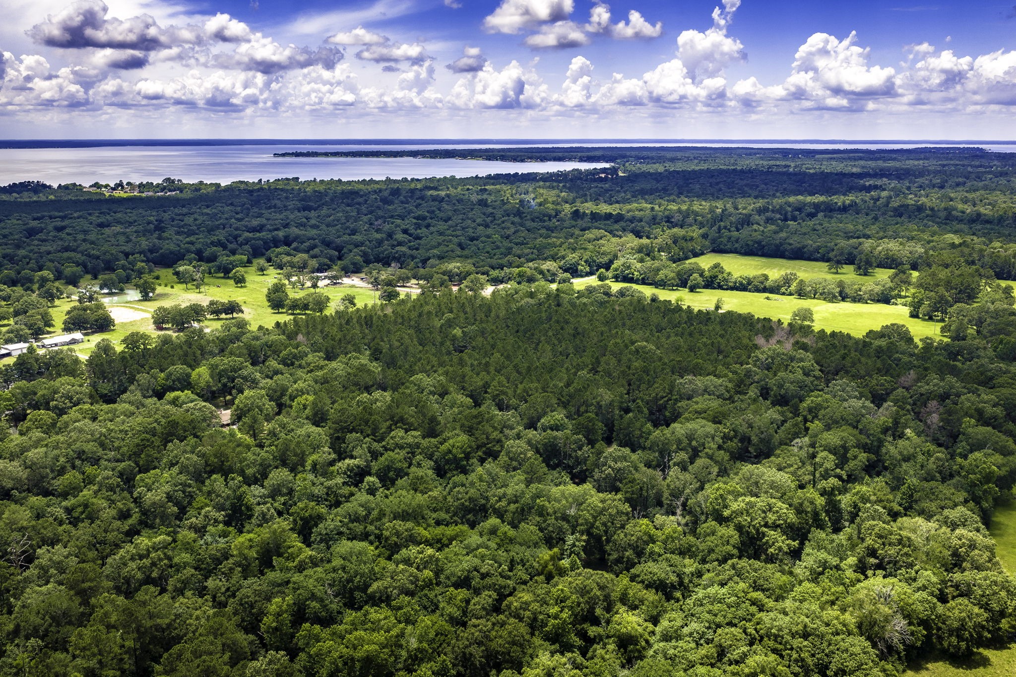 1204 Mangum Road Property Photo 4