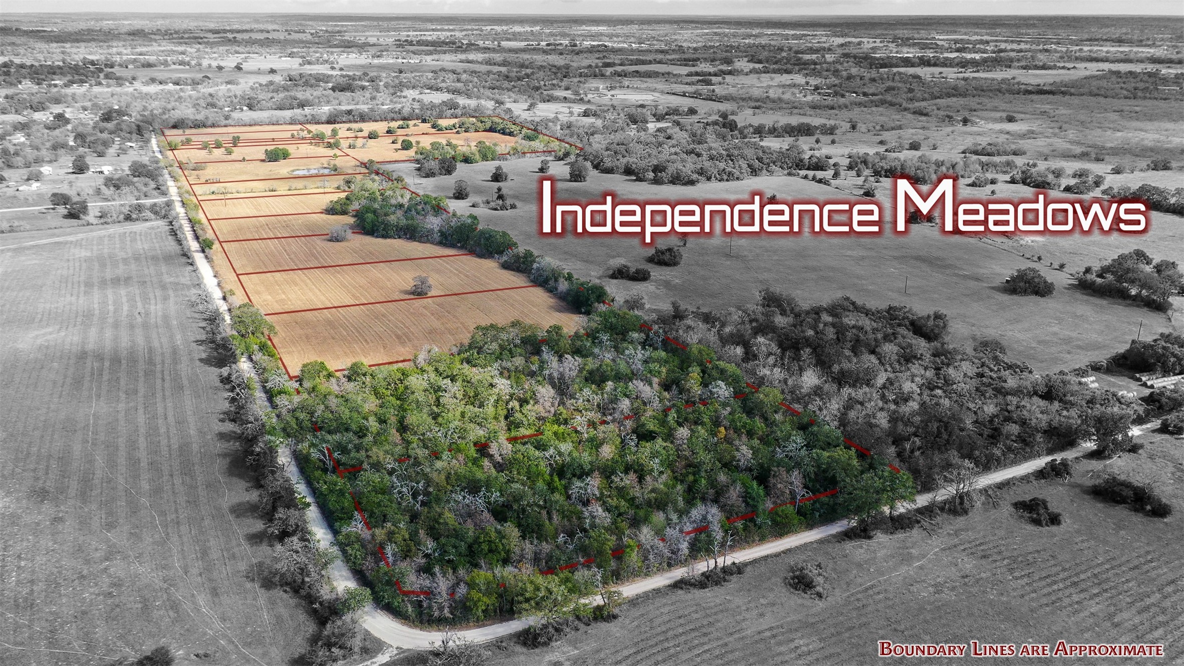 Lot 1 County Rd 229 Property Photo 1