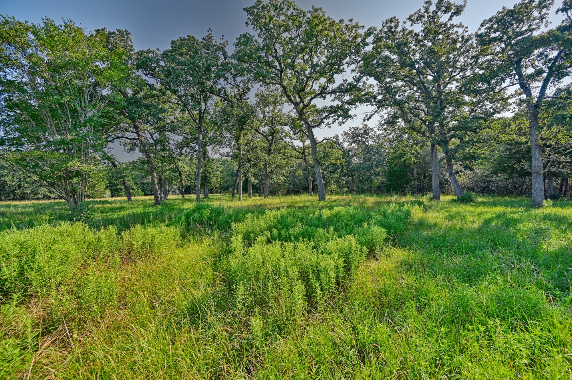609 Piney Creek Road Property Photo 40